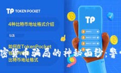 揭开苏州加密货币骗局的神秘面纱：警惕投资陷