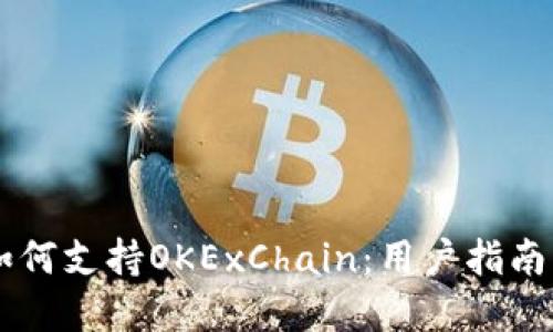 TPWallet如何支持OKExChain：用户指南及最佳实践