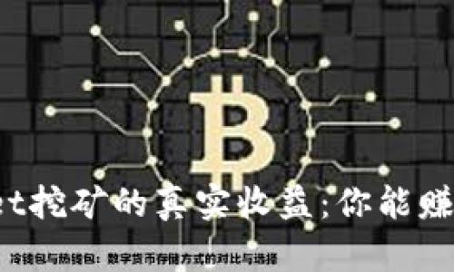 TPWallet挖矿的真实收益：你能赚到钱吗？