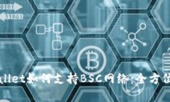 TPWallet如何支持BSC网络：全方位解析