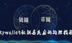 tpwallet私钥丢失后的处理指南