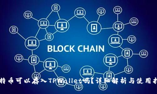 莱特币可以存入TPWallet吗？详细解析与使用指南