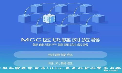 中国加密数字货币Libra：未来的金融变革与挑战