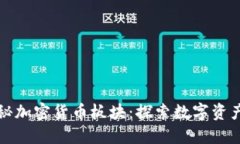 深入揭秘加密货币板块：探索数字资产的世界