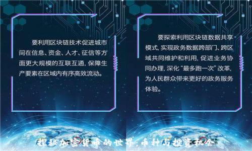   
探秘加密货币的世界：币种与投资机会