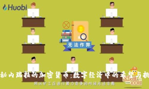 探秘内瑞拉的加密货币：数字经济中的希望与挑战