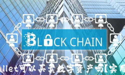 
tpwallet可以买卖数字资产吗？实用指南