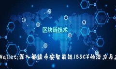 TPWallet：深入解读币安智能链（BSC）的潜力与应用