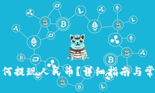 tpwallet如何提现人民币？详细指南与常见问题解析