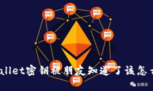 tpwallet密钥被朋友知道了该怎么办？