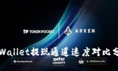 TPWallet提现通道速度对比分析
