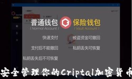 
如何安全管理你的Criptal加密货币账户