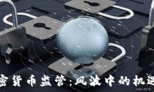   
延迟加密货币监管：风波中的机遇与挑战