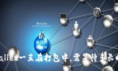 :TPWallet一直在打包中，需等待多长时间？