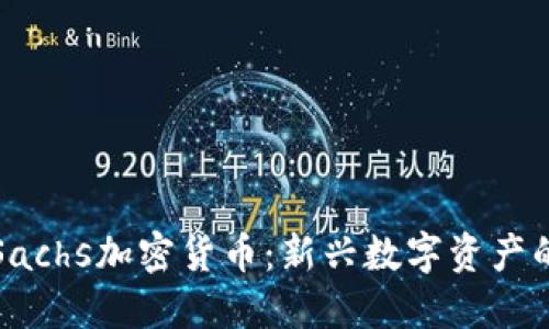 深入了解Sachs加密货币：新兴数字资产的未来趋势