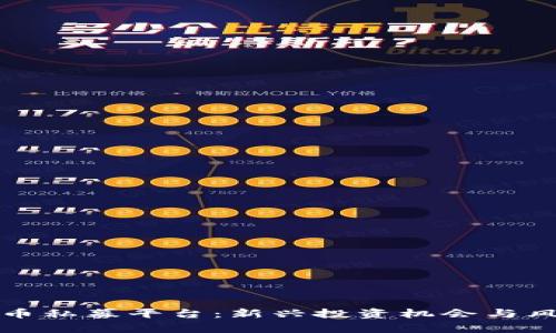 加密货币私募平台：新兴投资机会与风险分析
