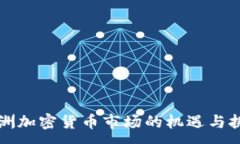 :非洲加密货币市场的机遇与挑战