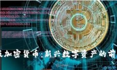 内测版加密货币：新兴数字资产的前沿探索