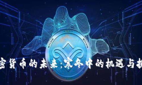 加密货币的未来：寒冬中的机遇与挑战