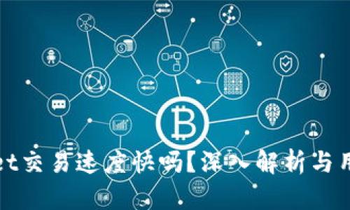 TPWallet交易速度快吗？深入解析与用户体验