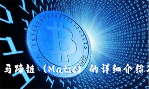 TPWallet 马蹄链 (Matic) 的详细介绍及使用指南