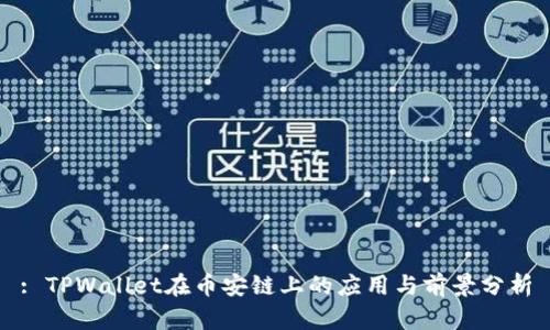 : TPWallet在币安链上的应用与前景分析