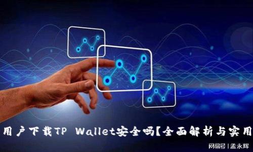 苹果用户下载TP Wallet安全吗？全面解析与实用建议