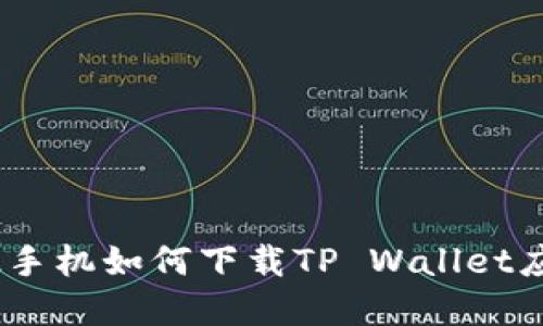 苹果12手机如何下载TP Wallet应用指南