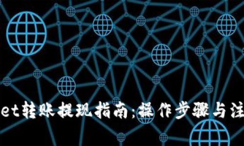 TPWallet转账提现指南：操作步骤与注意事项