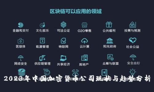 2023年中国加密货币公司现状与趋势分析