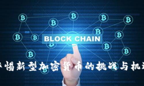 警惕新型加密货币的挑战与机遇