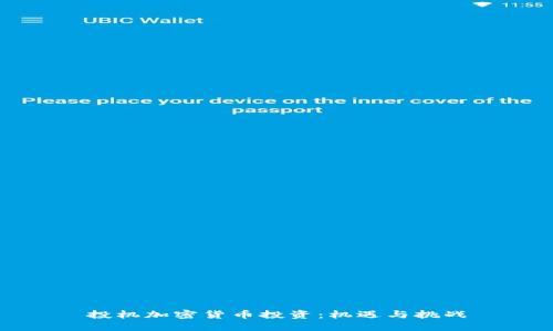 投机加密货币投资：机遇与挑战