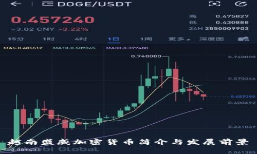 越南盛威加密货币简介与发展前景