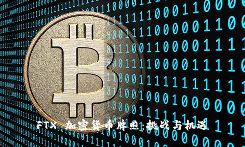 FTX 加密货币牌照：挑战与机遇