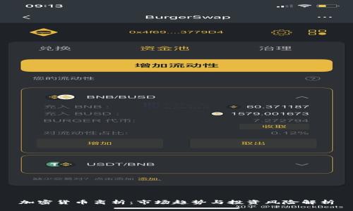 加密货币离析：市场趋势与投资风险解析