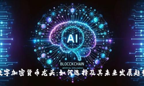 数字加密货币龙头：如何选择及其未来发展趋势