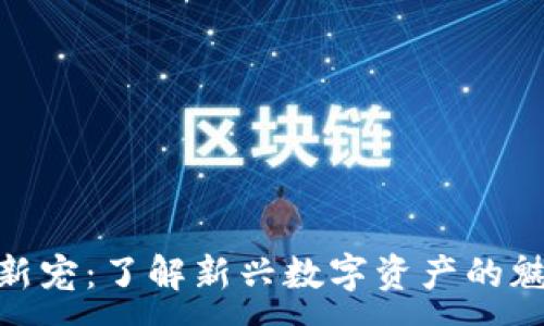 :
加密货币新宠：了解新兴数字资产的魅力与风险