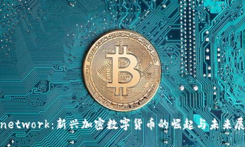 Pinetwork：新兴加密数字货币的崛起与未来展望