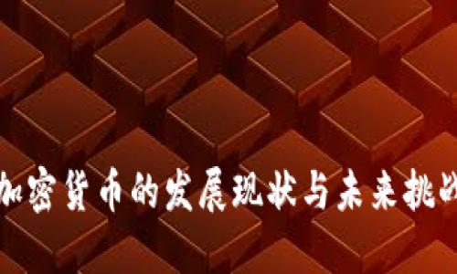 加密货币的发展现状与未来挑战