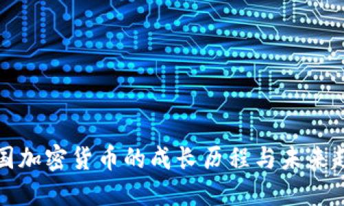 中国加密货币的成长历程与未来趋势