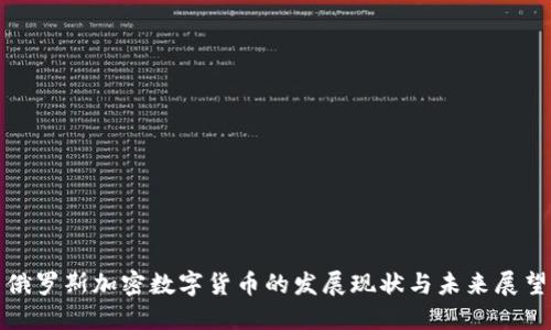 俄罗斯加密数字货币的发展现状与未来展望