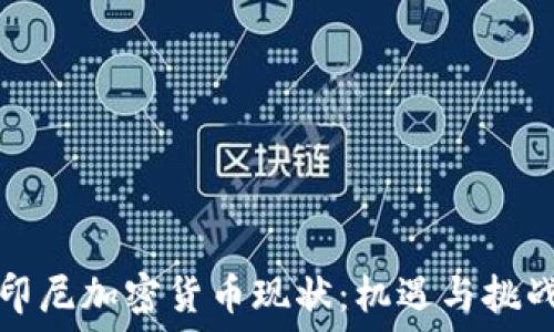  
印尼加密货币现状：机遇与挑战