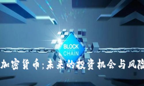  USV加密货币：未来的投资机会与风险分析