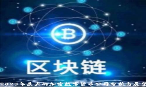 
2023年最大的加密数字货币公司分析与展望