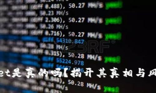 tpwallet是真的吗？揭开其真相与风险分析