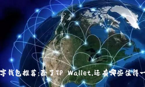区块链数字钱包推荐：除了TP Wallet，还有哪些值得一试的选择