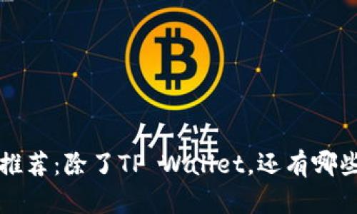 区块链数字钱包推荐：除了TP Wallet，还有哪些值得一试的选择