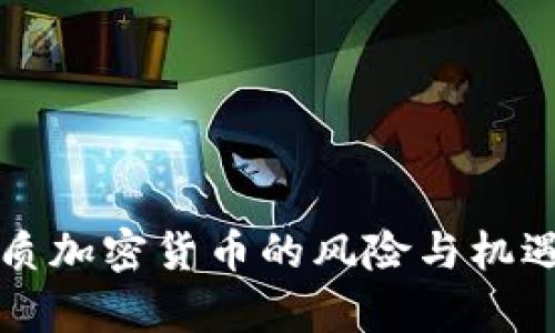 无资质加密货币的风险与机遇分析
