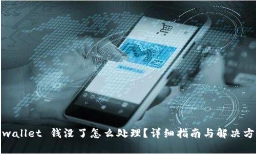 tpwallet 钱没了怎么处理？详细指南与解决方案