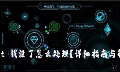 tpwallet 钱没了怎么处理？详细指南与解决方案